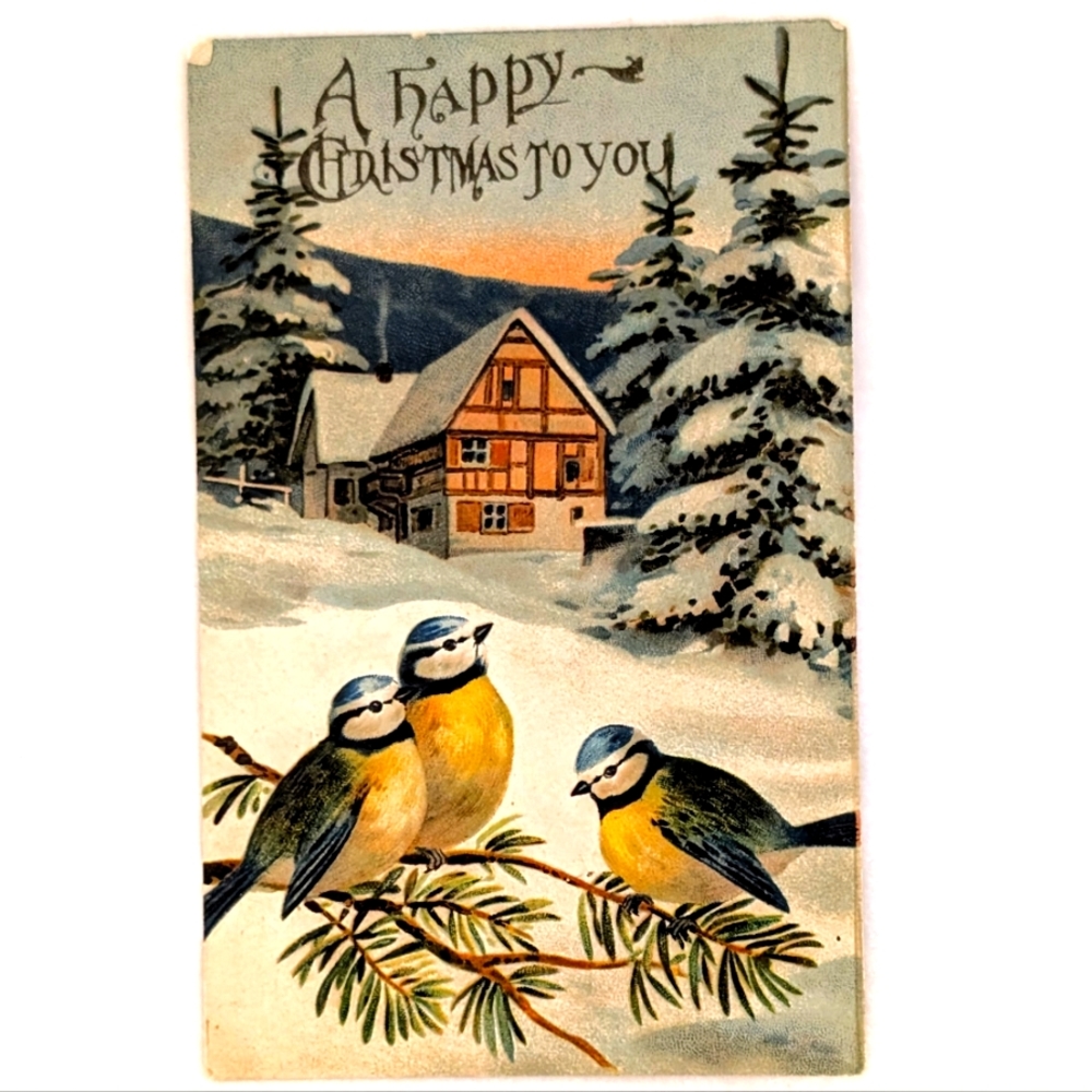 Antique 1908 Christmas Postcard Birds Winter Cottage Embossed Germany